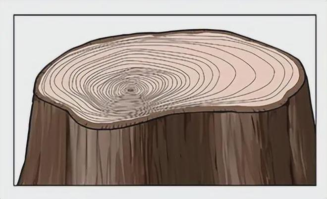 太阳城官网【绘屏教育】漫画木桩怎么画？教你树桩年轮的画法教程！(图7)